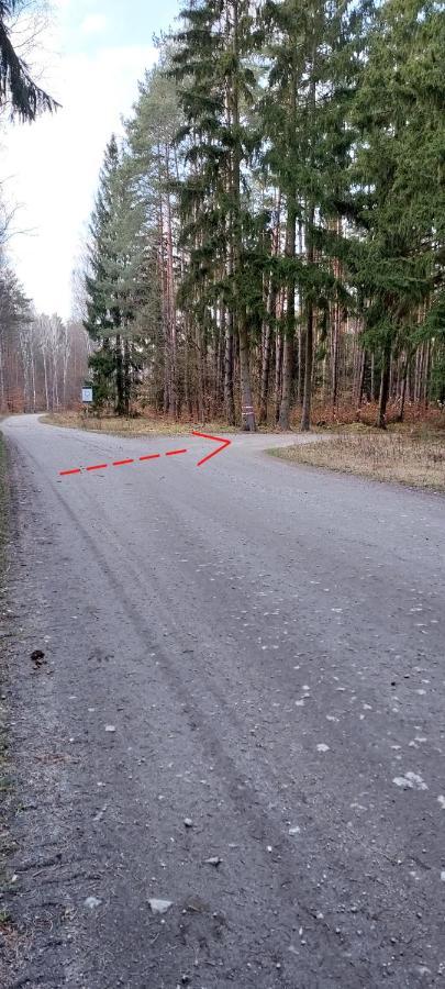 Agroturystyka Lesna Babka Jastrowie Екстериор снимка